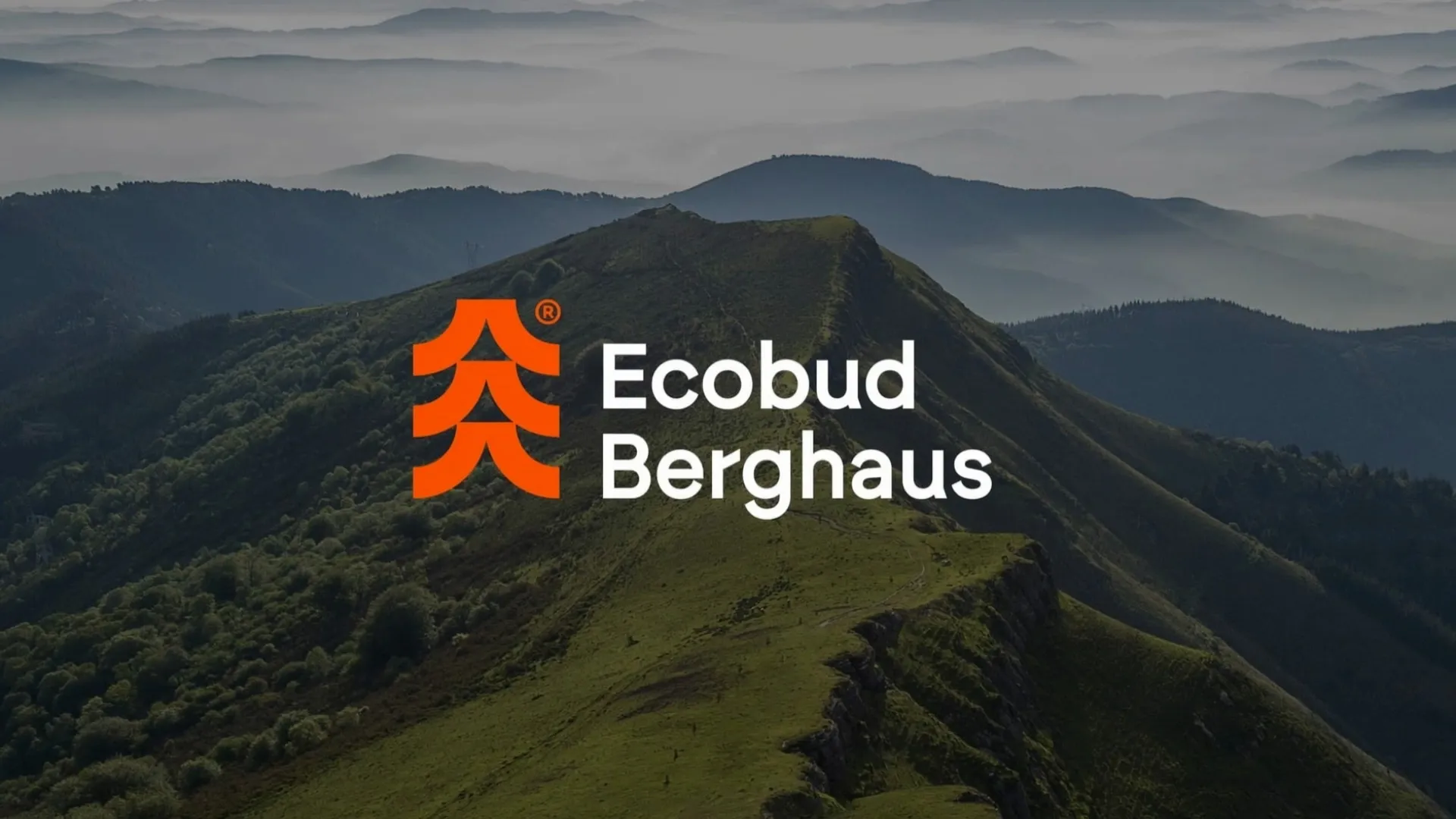 A developer's mark built from a roof, a ridge and a fir tree