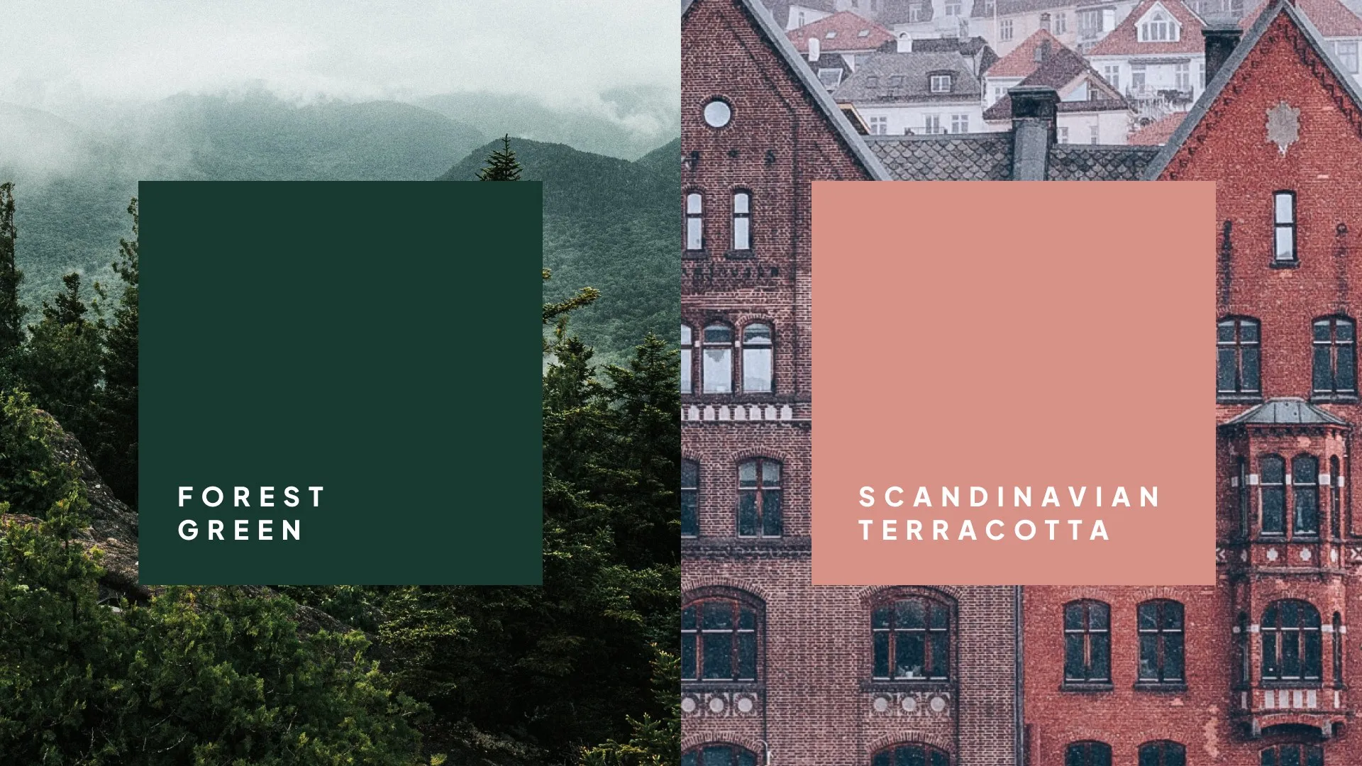 BERGEN Restaurant: Forest green and Bergen terracotta