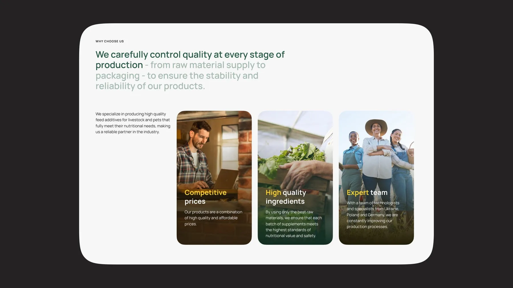 Brand story and quality sections.