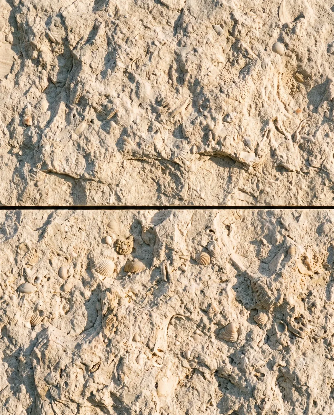 Kamen