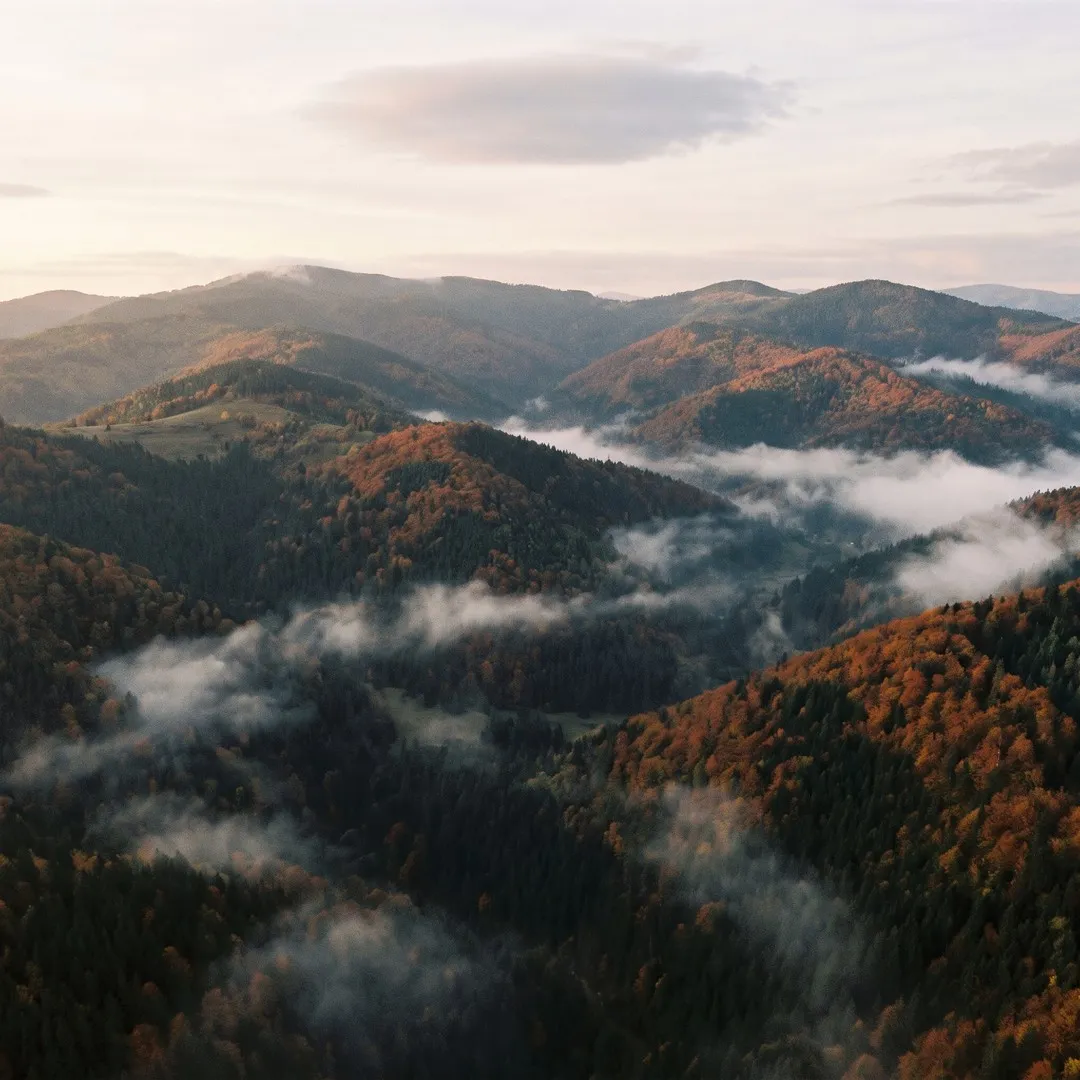 Ecobud Berghaus: Brand concept, logo, identity and brandbook for Ecobud Berghaus, a developer building homes among the trees of the Carpathians.